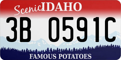 ID license plate 3B0591C