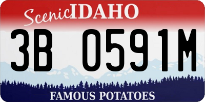 ID license plate 3B0591M
