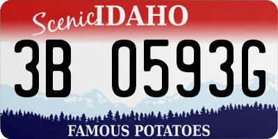 ID license plate 3B0593G