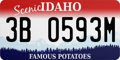 ID license plate 3B0593M