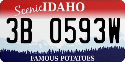 ID license plate 3B0593W