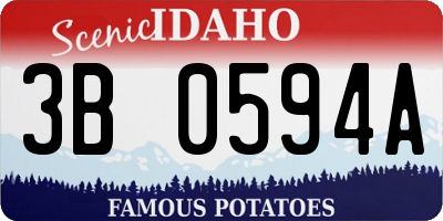 ID license plate 3B0594A
