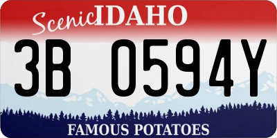 ID license plate 3B0594Y
