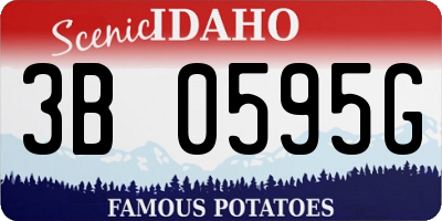 ID license plate 3B0595G