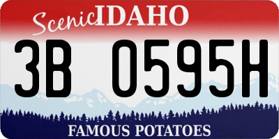 ID license plate 3B0595H