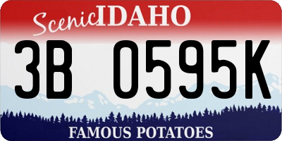 ID license plate 3B0595K