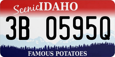 ID license plate 3B0595Q