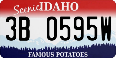 ID license plate 3B0595W
