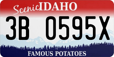 ID license plate 3B0595X