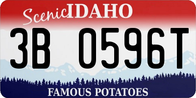 ID license plate 3B0596T