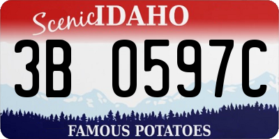 ID license plate 3B0597C
