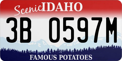 ID license plate 3B0597M