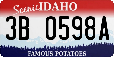 ID license plate 3B0598A