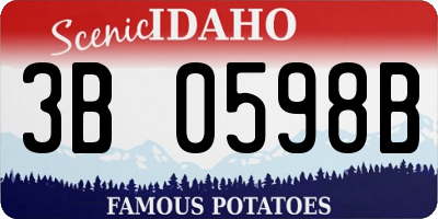 ID license plate 3B0598B