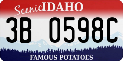 ID license plate 3B0598C