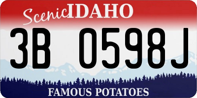 ID license plate 3B0598J