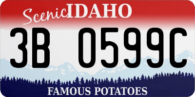 ID license plate 3B0599C