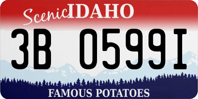 ID license plate 3B0599I