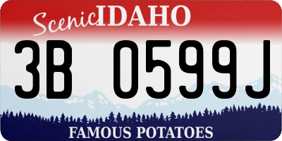 ID license plate 3B0599J