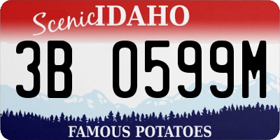 ID license plate 3B0599M