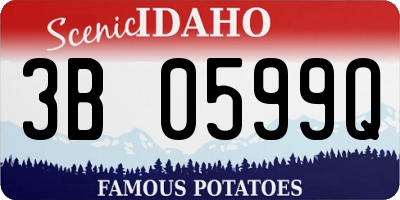 ID license plate 3B0599Q