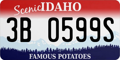 ID license plate 3B0599S