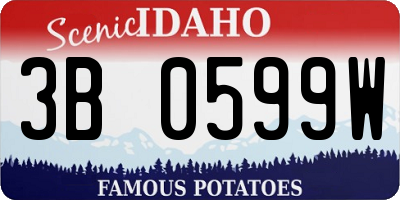 ID license plate 3B0599W