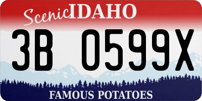 ID license plate 3B0599X