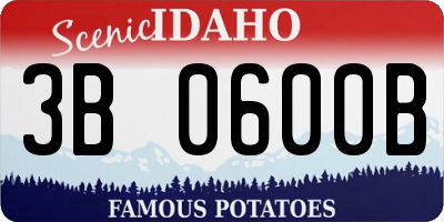 ID license plate 3B0600B