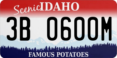 ID license plate 3B0600M