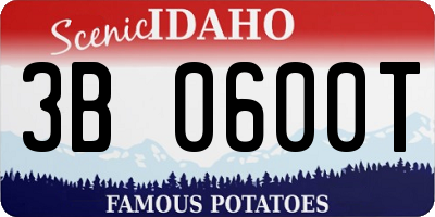ID license plate 3B0600T