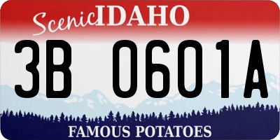 ID license plate 3B0601A