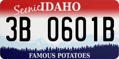 ID license plate 3B0601B