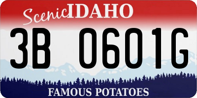 ID license plate 3B0601G