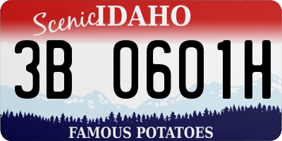ID license plate 3B0601H