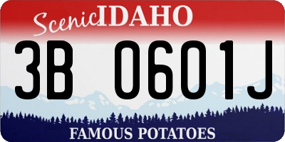 ID license plate 3B0601J