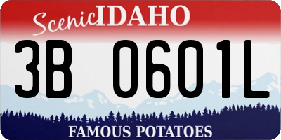 ID license plate 3B0601L