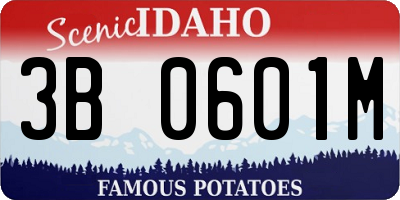 ID license plate 3B0601M