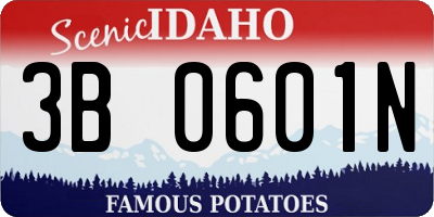 ID license plate 3B0601N