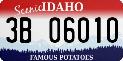 ID license plate 3B0601O