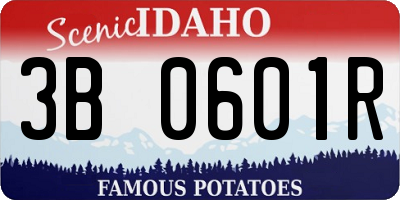 ID license plate 3B0601R