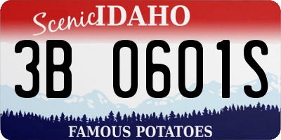 ID license plate 3B0601S