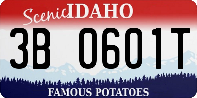 ID license plate 3B0601T