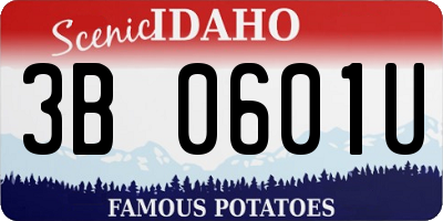 ID license plate 3B0601U