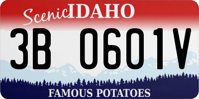 ID license plate 3B0601V