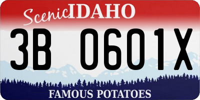 ID license plate 3B0601X