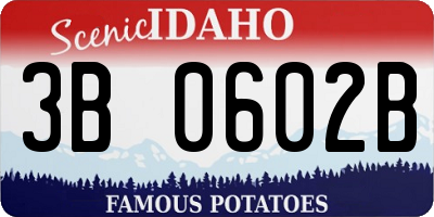 ID license plate 3B0602B
