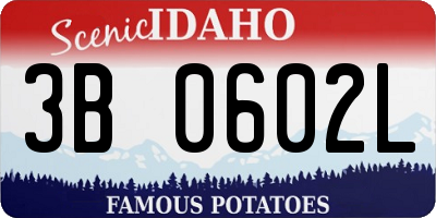 ID license plate 3B0602L
