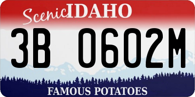 ID license plate 3B0602M