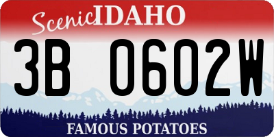 ID license plate 3B0602W